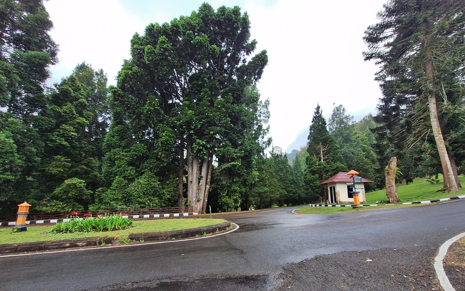 Bali Botanical Garden